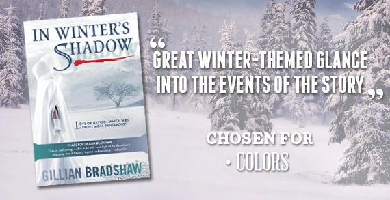 Im Schatten des Winters von Gillian Bradshaw