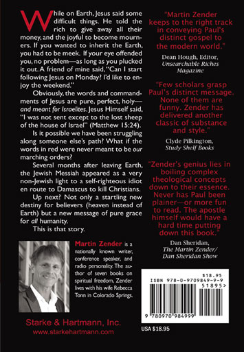 first-idiot-back-cover