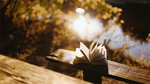Livro em um banco perto do rio