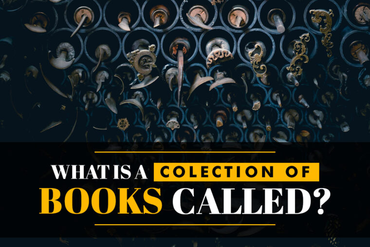what is a collection
