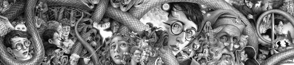 harry potter 20th anniversary edition book cover artwork