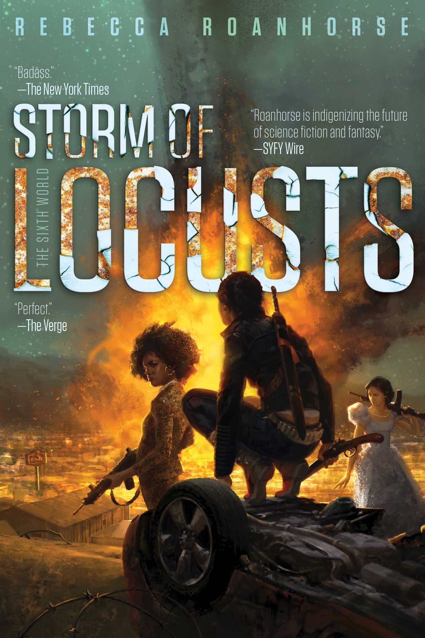 fantasy book covers storm of locusts