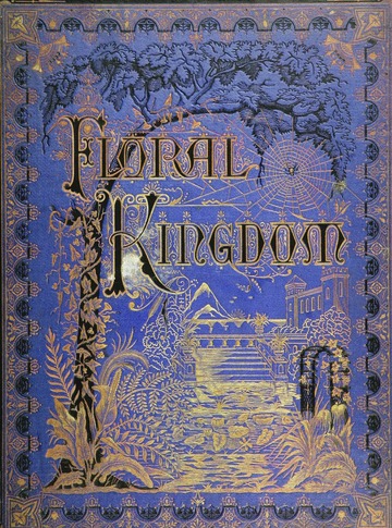 vintage book covers the floral kingdom