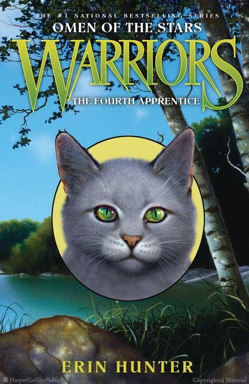 Warrior Cats Book Covers The Fourth Apprentice
