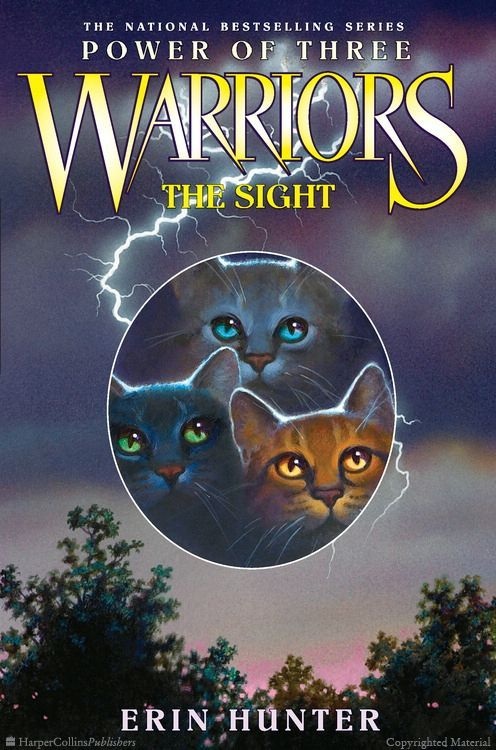 Warrior Cats Book Covers The Sight