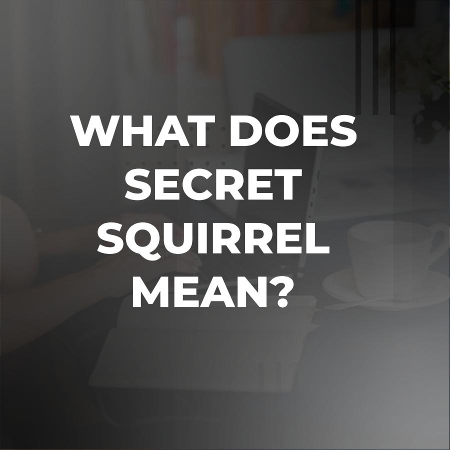 secret squirrel meaning