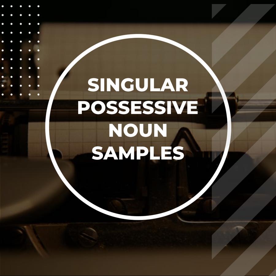 singular possessive noun examples